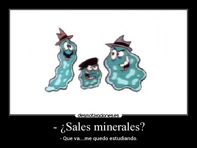 - ¿Sales minerales? -