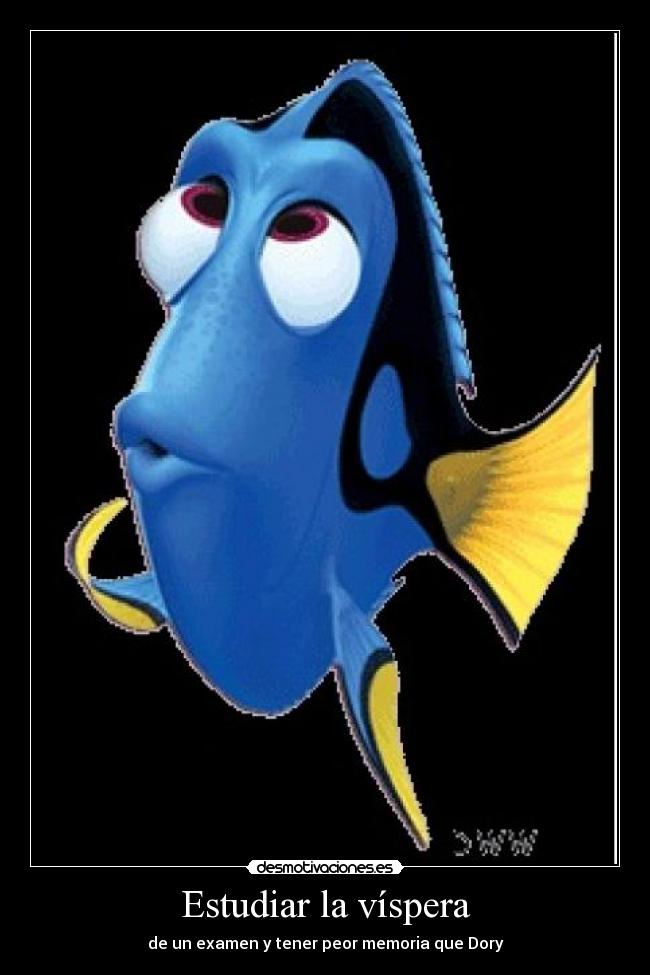 carteles dory estudiar poca memoria desmotivaciones