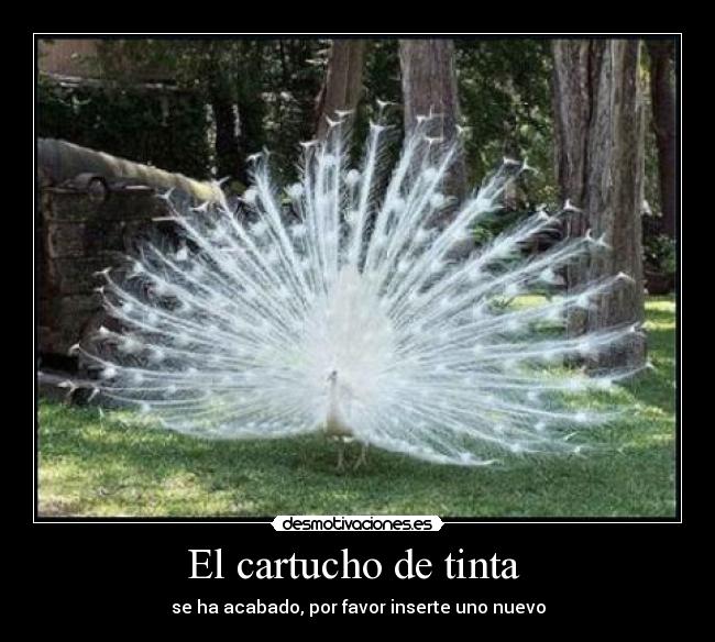 El cartucho de tinta - se ha acabado, por favor inserte uno nuevo