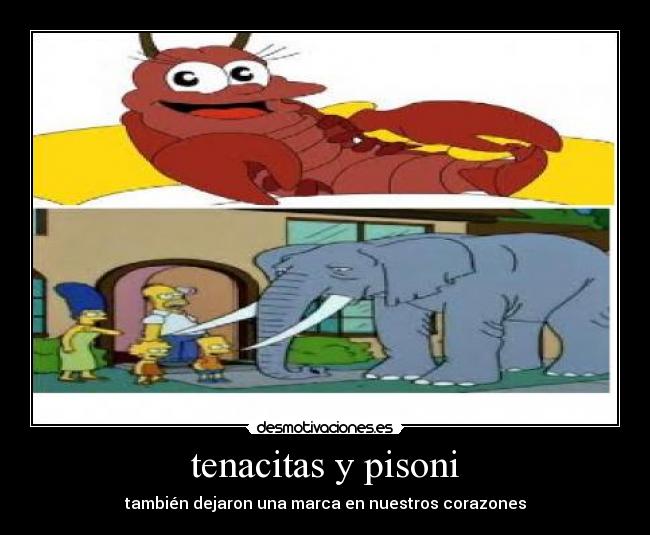 tenacitas y pisoni -