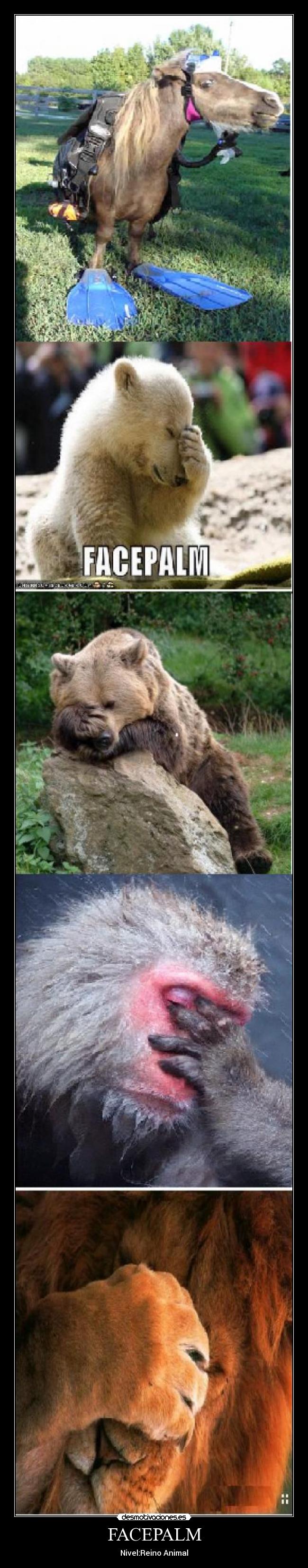 FACEPALM - Nivel:Reino Animal