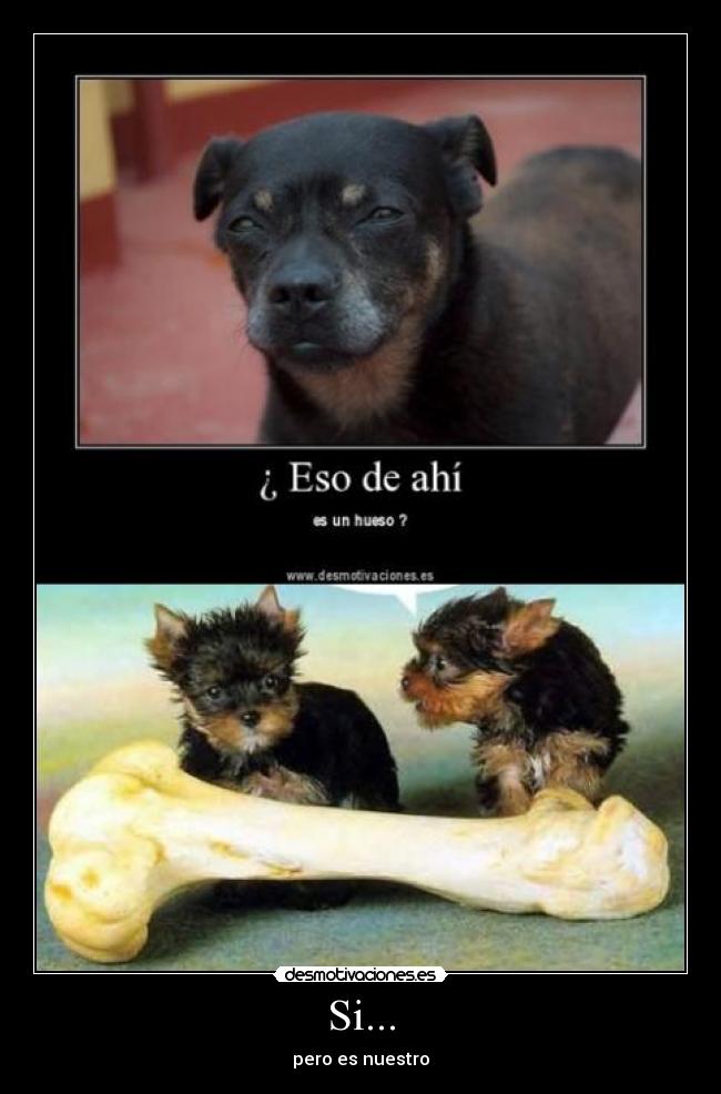Si... - pero es nuestro