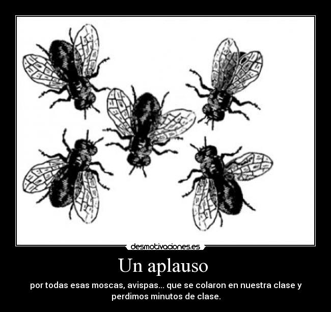 Un aplauso  - por todas esas moscas, avispas... que se colaron en nuestra clase y
perdimos minutos de clase.