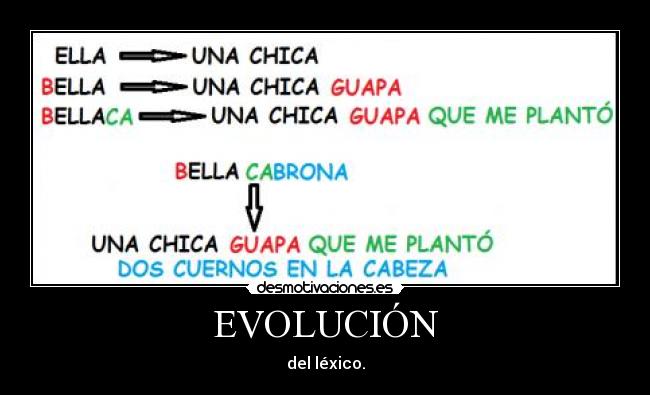 EVOLUCIÓN -