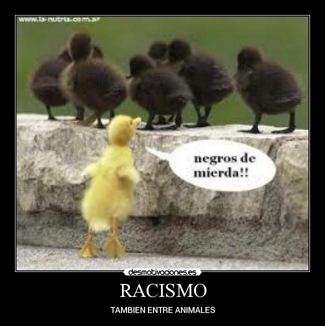 RACISMO - 
