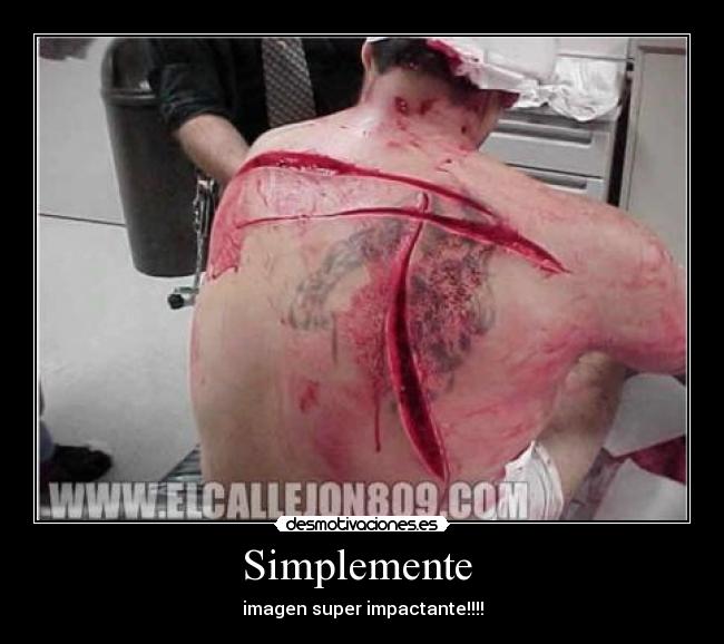 carteles fhghgfhgfhfgh desmotivaciones