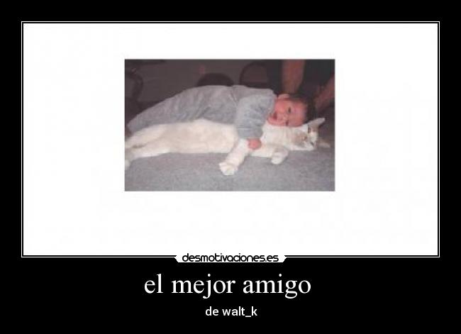 el mejor amigo  - 