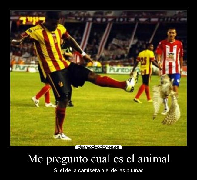 Me pregunto cual es el animal - 