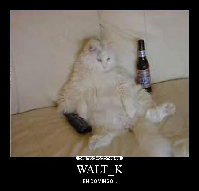 WALT_K - EN DOMINGO...