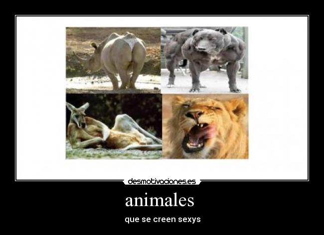 animales -