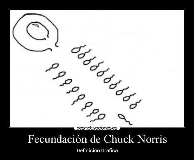 Fecundación de Chuck Norris - 