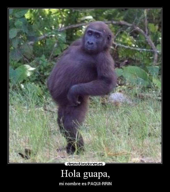 Hola guapa, -