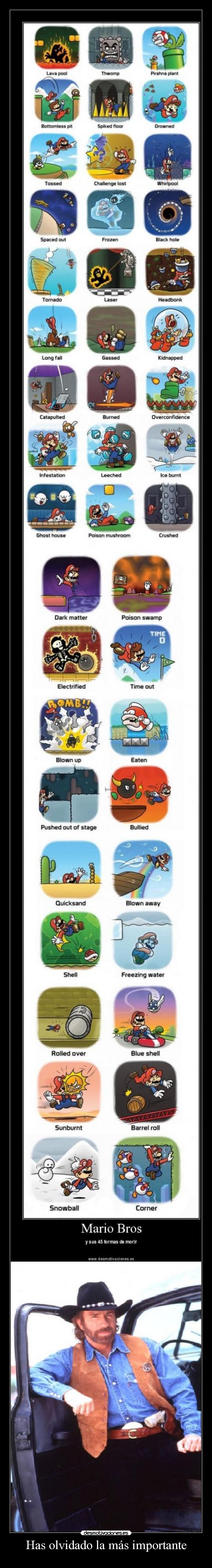 Has olvidado la más importante - 