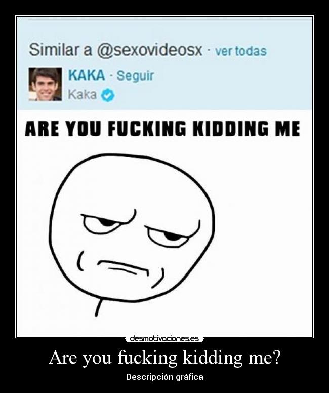 Are you fucking kidding me? - Descripción gráfica