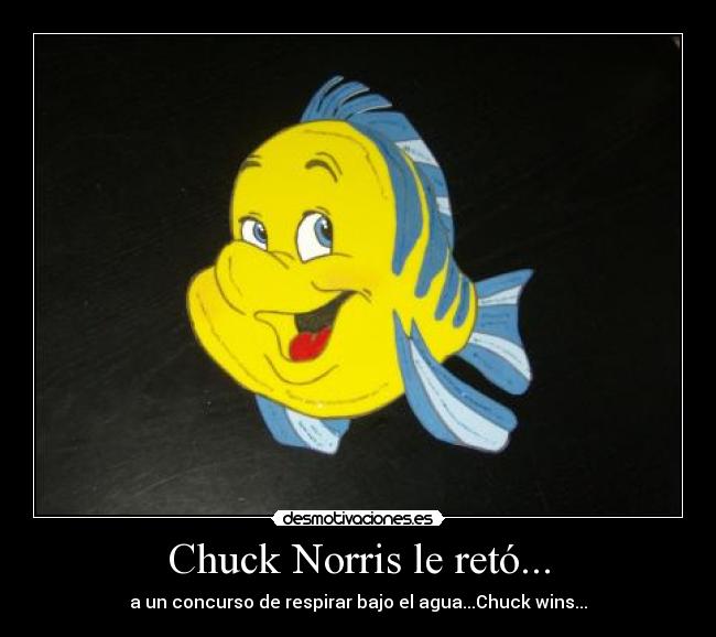 Chuck Norris le retó... -