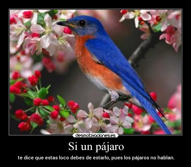 carteles loco desmotivaciones