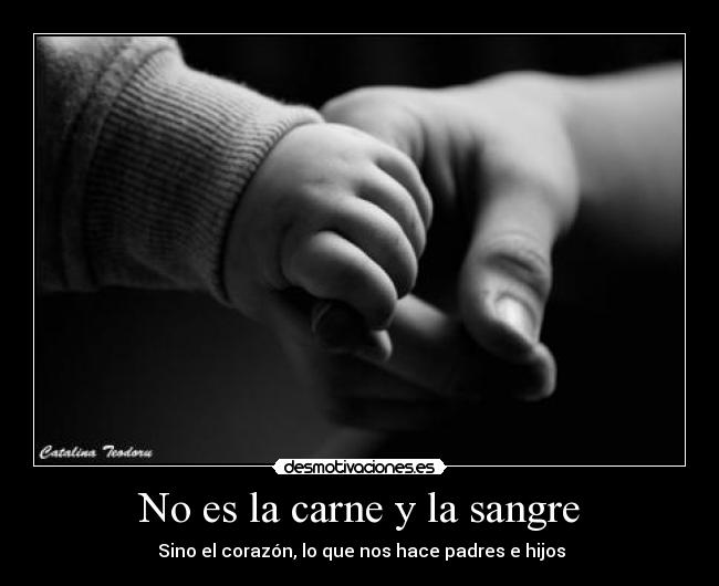 No es la carne y la sangre - 