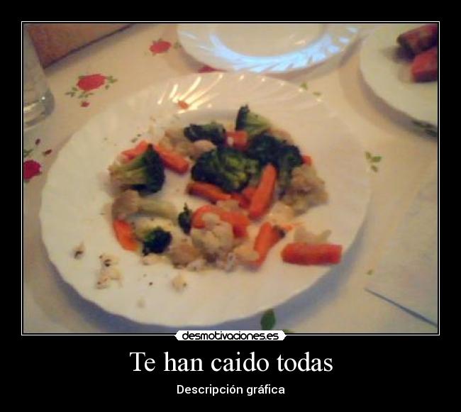 Te han caido todas - Descripción gráfica