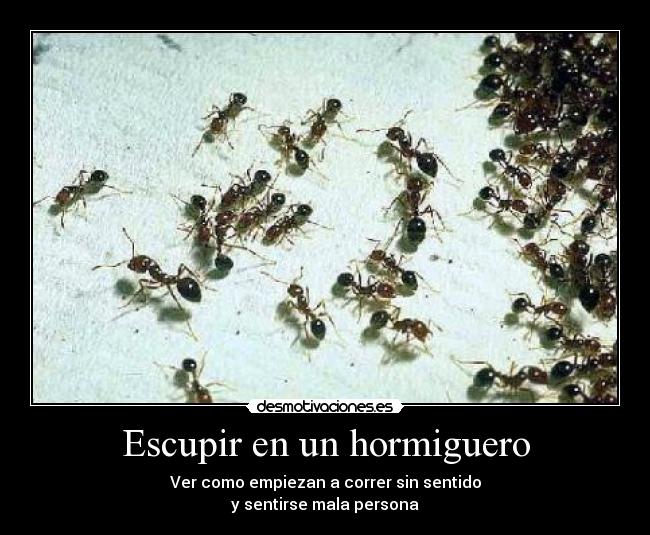 Escupir en un hormiguero -