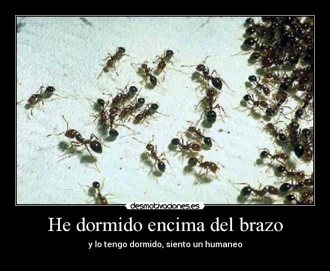 He dormido encima del brazo -