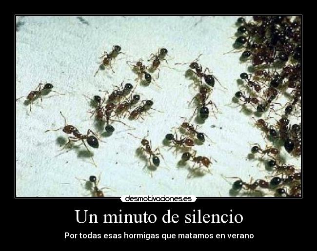 Un minuto de silencio - Por todas esas hormigas que matamos en verano