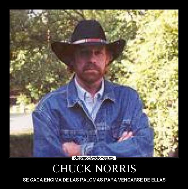 CHUCK NORRIS - SE CAGA ENCIMA DE LAS PALOMAS PARA VENGARSE DE ELLAS