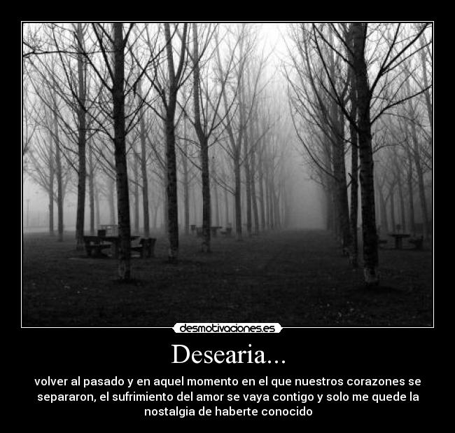 Desearia... - volver al pasado y en aquel momento en el que nuestros corazones se
separaron, el sufrimiento del amor se vaya contigo y solo me quede la
nostalgia de haberte conocido