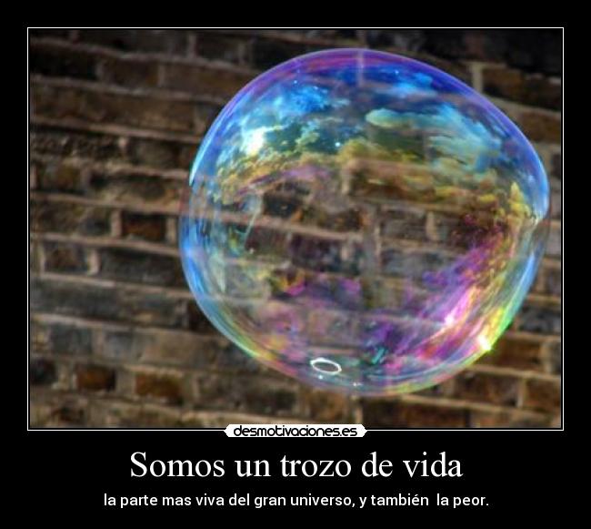 Somos un trozo de vida -