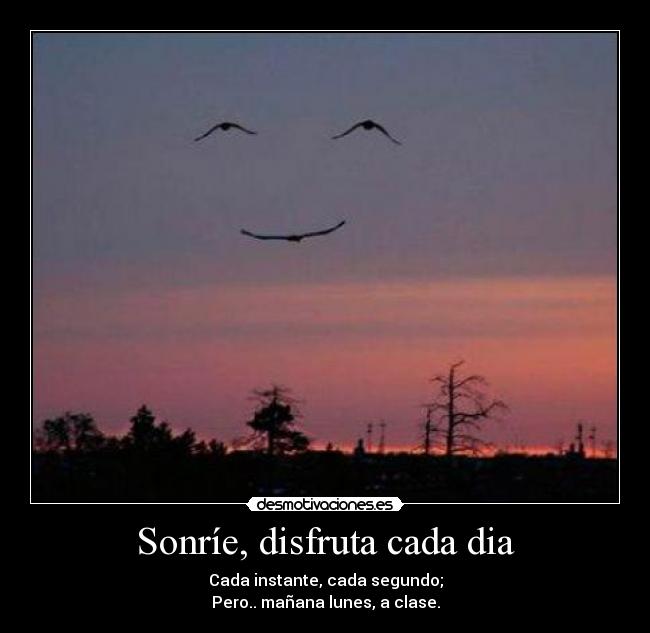 Sonríe, disfruta cada dia - 