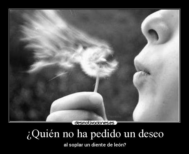 ¿Quién no ha pedido un deseo - al soplar un diente de león?