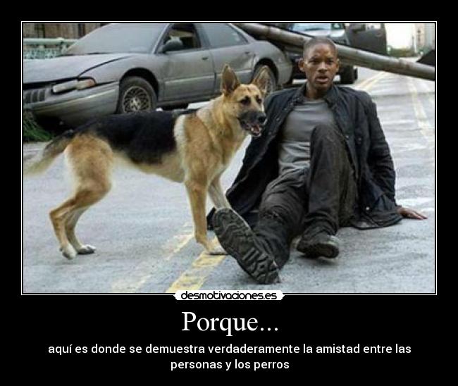 Porque... -