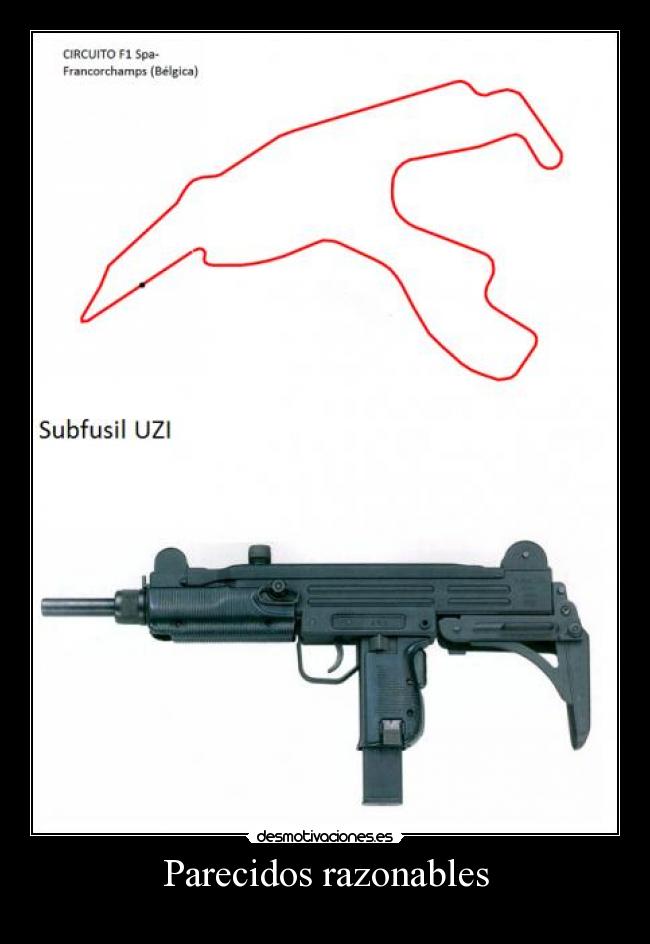 Parecidos razonables -