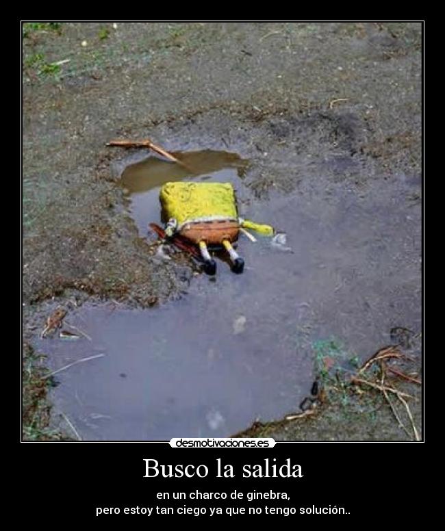 Busco la salida - en un charco de ginebra,
pero estoy tan ciego ya que no tengo solución..