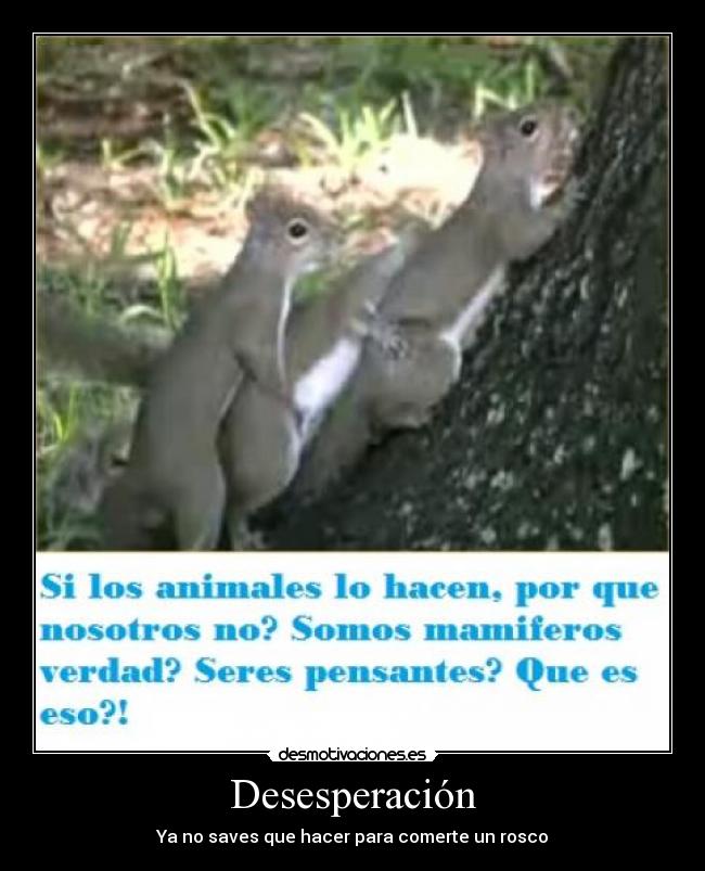 Desesperación - Ya no saves que hacer para comerte un rosco