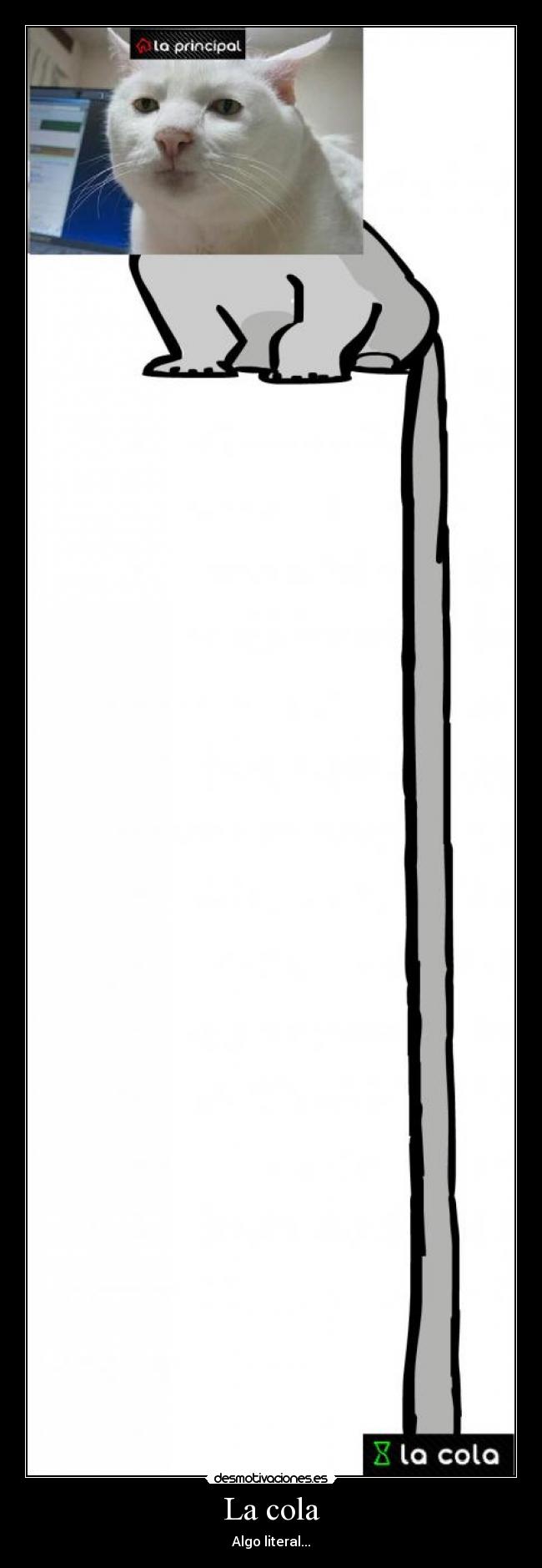 La cola -