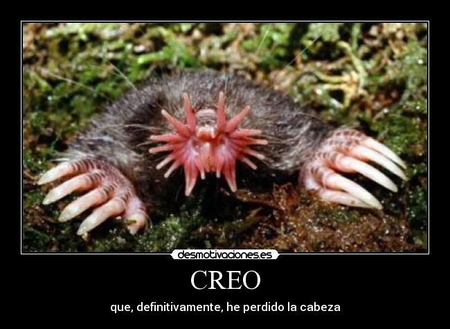 CREO -