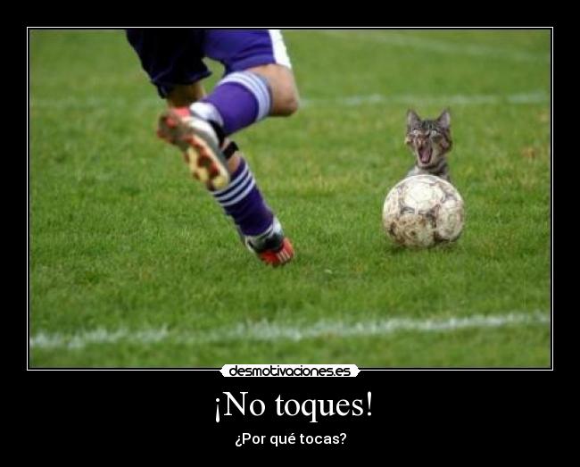 ¡No toques! - ¿Por qué tocas?