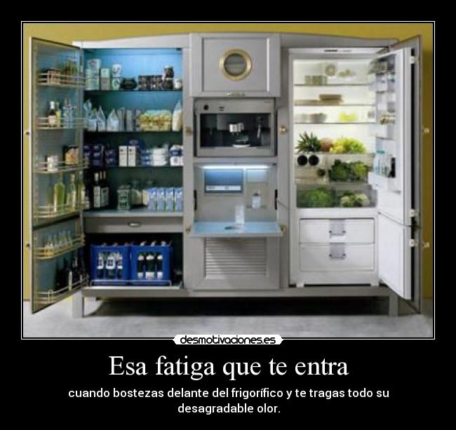 Esa fatiga que te entra - cuando bostezas delante del frigorífico y te tragas todo su desagradable olor.