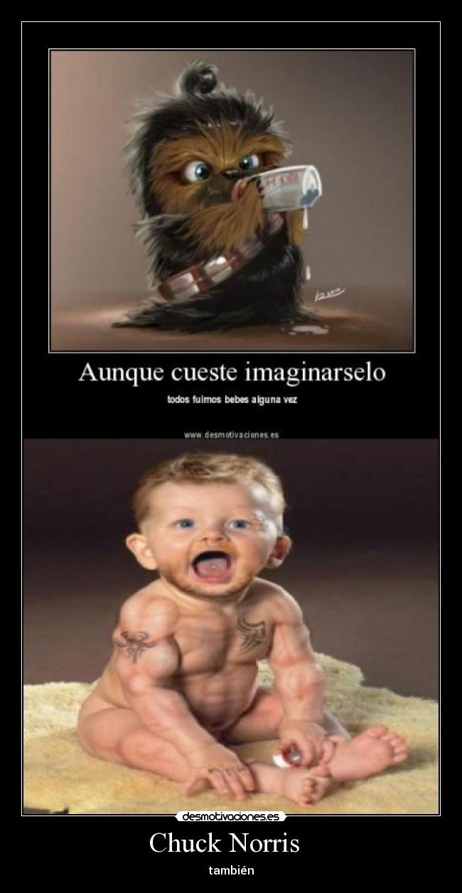 Chuck Norris   - también