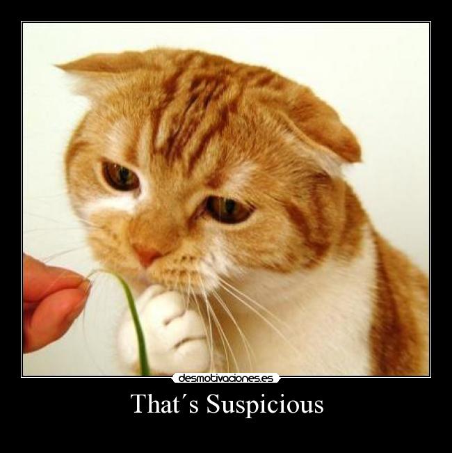 That´s Suspicious -