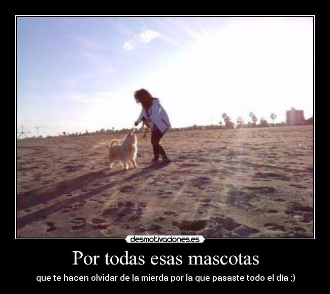 Por todas esas mascotas -
