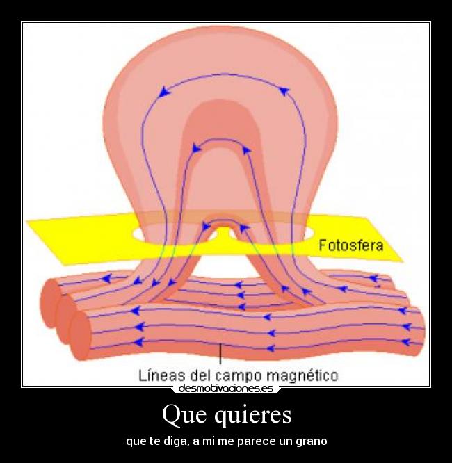 Que quieres - 