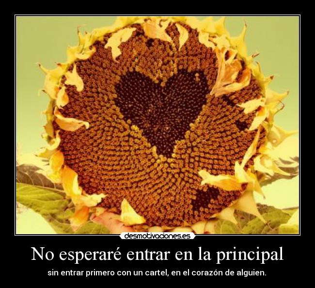 No esperaré entrar en la principal - sin entrar primero con un cartel, en el corazón de alguien. 