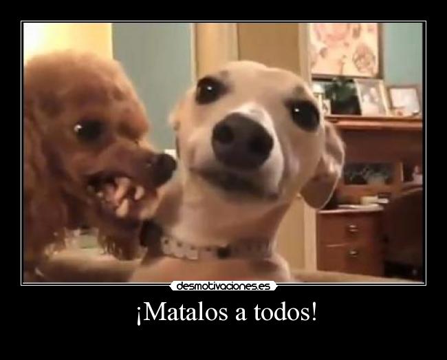 ¡Matalos a todos! -