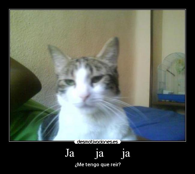 Ja ja ja - ¿Me tengo que reir?