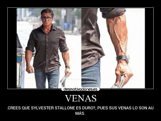 VENAS - 