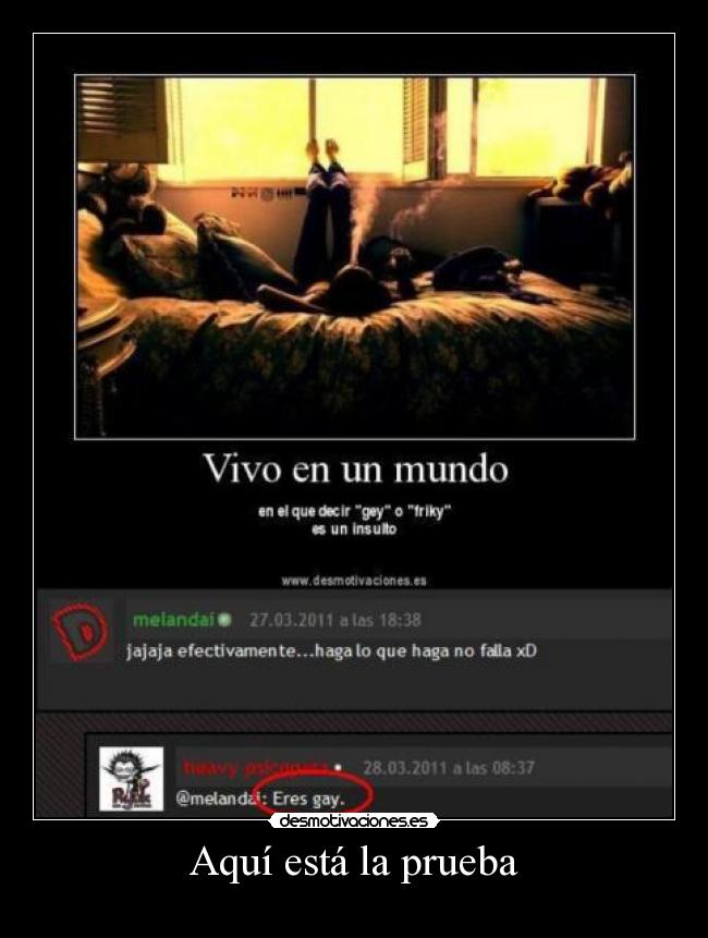 Aquí está la prueba - 