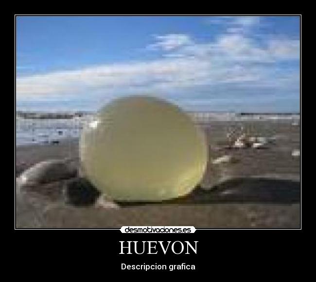 HUEVON - Descripcion grafica