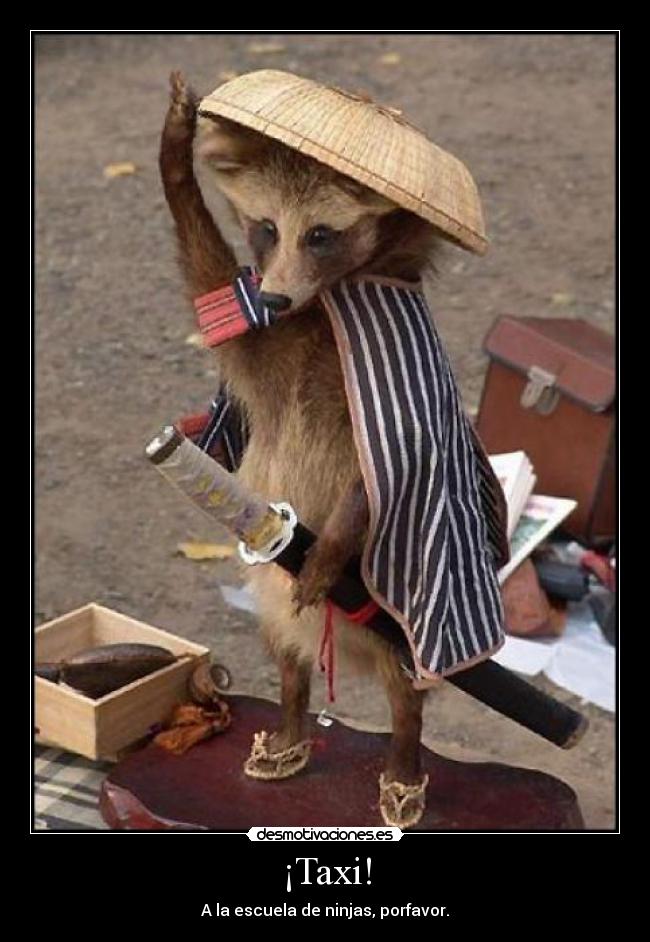 ¡Taxi! - A la escuela de ninjas, porfavor.