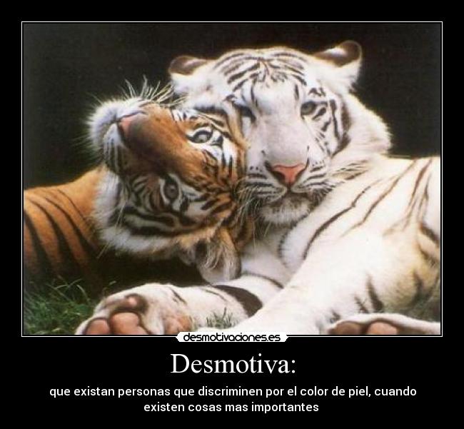 Desmotiva: - que existan personas que discriminen por el color de piel, cuando
existen cosas mas importantes 